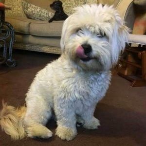 Meet your Posher, Erika